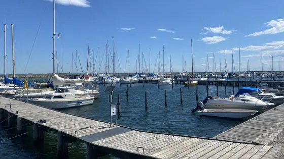 Ærø · 11 af 41