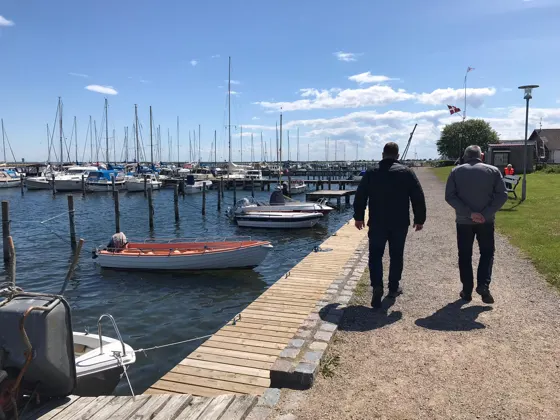 Ærø · 36 af 41